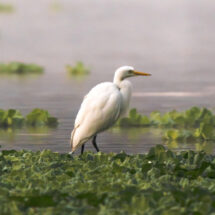 ¡Laguna de Oviedo un regalo de la naturaleza!