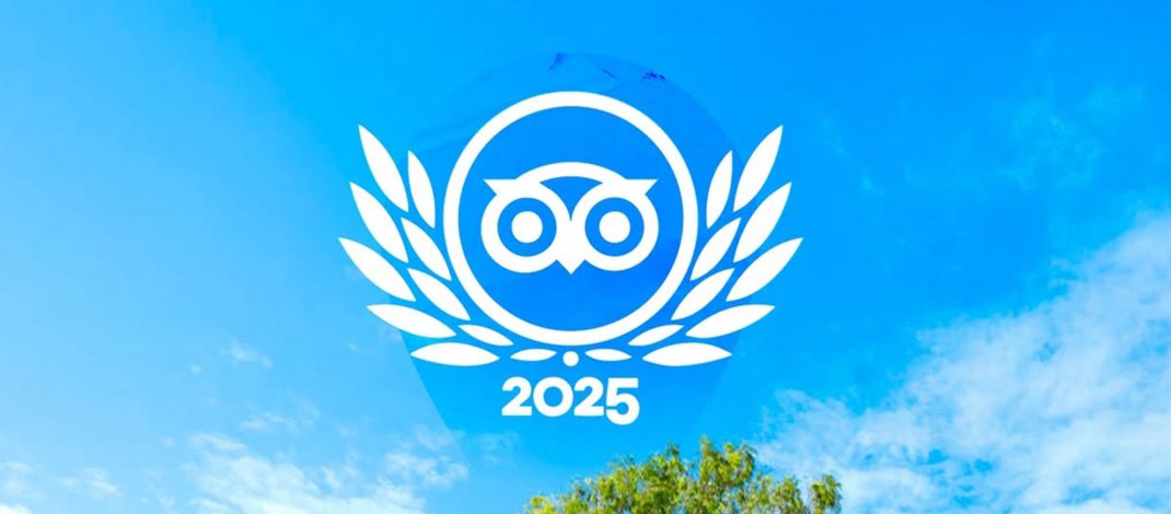 Lifestyle Presidential Suites Puerto Plata gana el premio Travelers’ Choice 2025 de Tripadvisor.