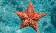 10 curiosidades de Punta Cana-Bávaro que quizás no conocías