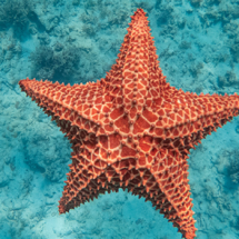 10 curiosidades de Punta Cana-Bávaro que quizás no conocías