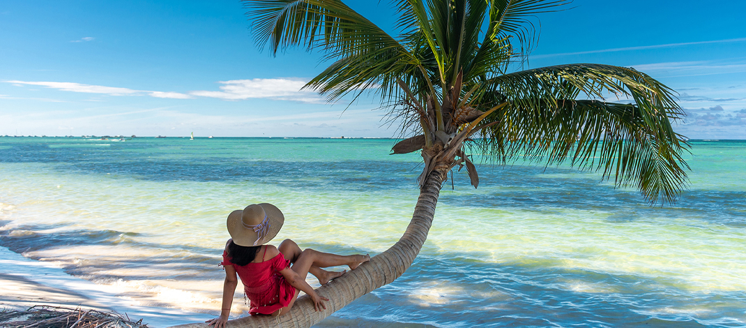 Una aventura maravillosa a la Isla Saona: el sueño del Caribe en la República Dominicana